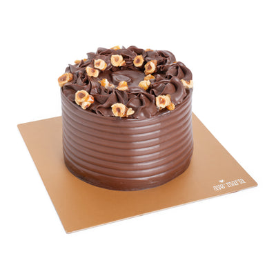 Hazelnut chocolate cake